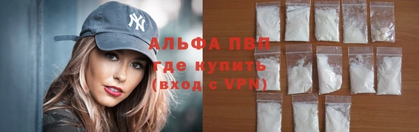 твердый Майский
