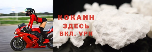 прущие грибы Магас