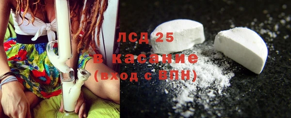 прущие грибы Магас