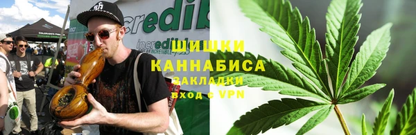 шишки Магадан