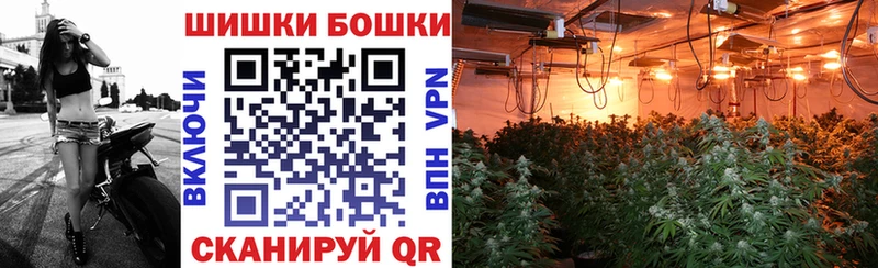 Купить где  Мыски  Конопля Amnesia 